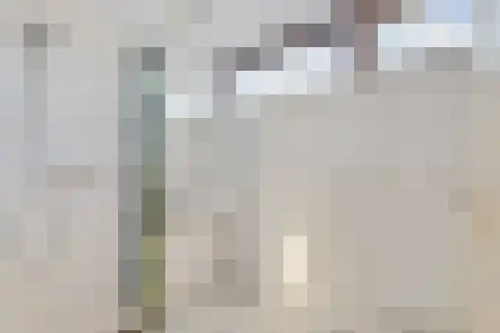 Beukenlaan 13 Etten-Leur thumbnail 12