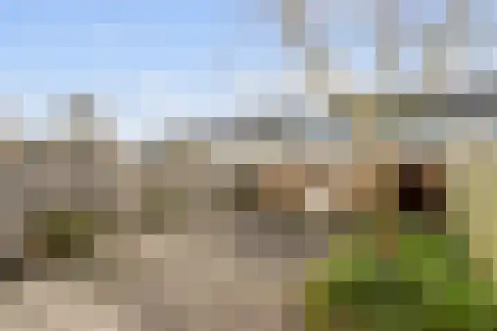 Beukenlaan 13 Etten-Leur thumbnail 17