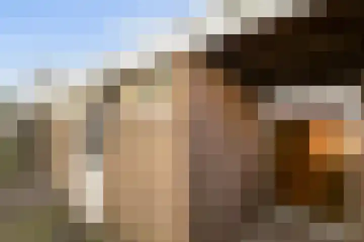 Beukenlaan 13 Etten-Leur thumbnail 18