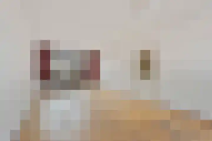Beukenlaan 13 Etten-Leur thumbnail 5