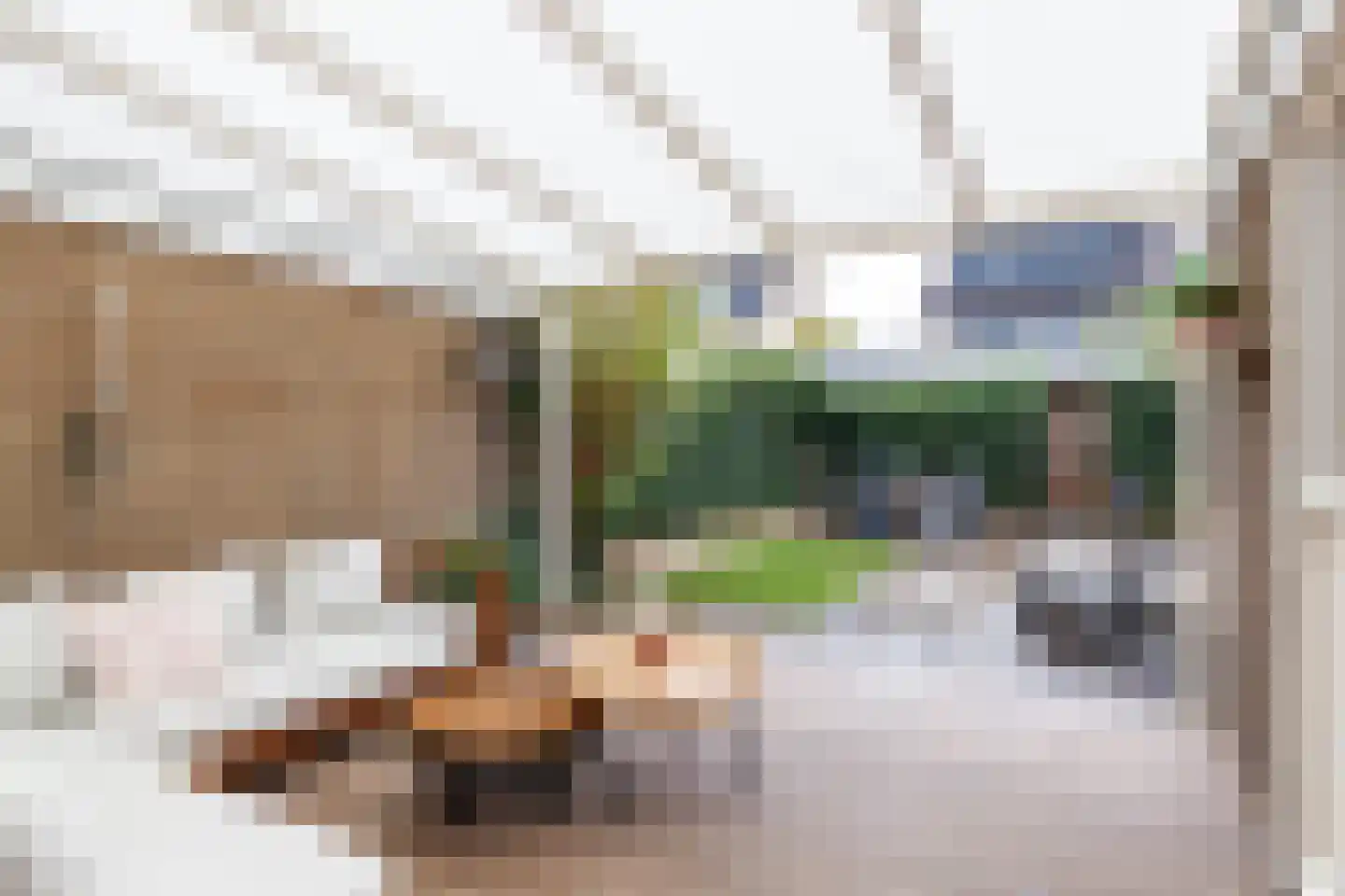 Beukenlaan 13 Nijkerk thumbnail 11