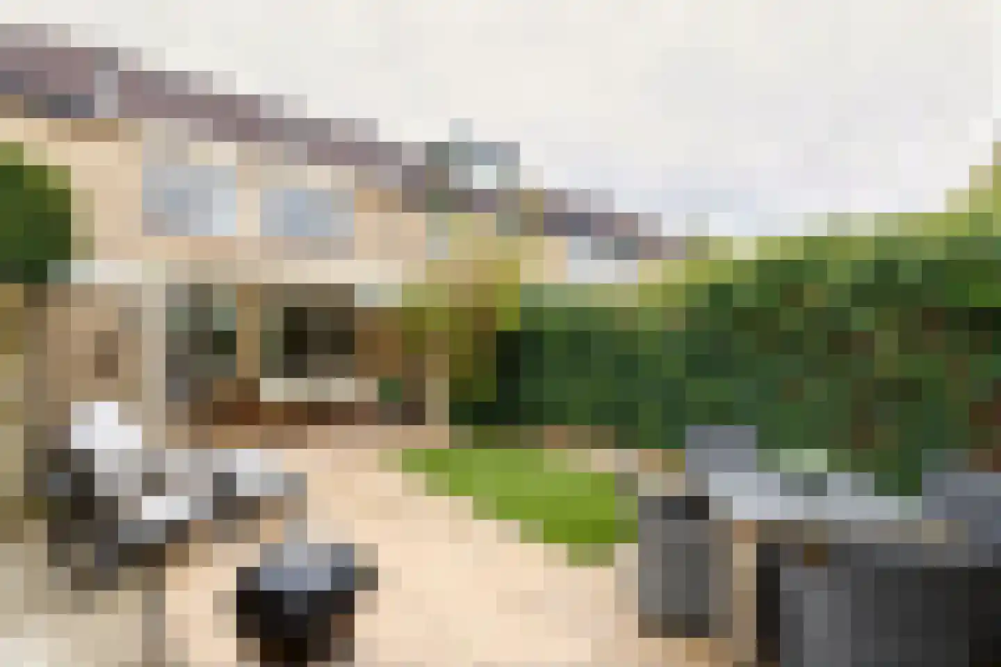Beukenlaan 13 Nijkerk thumbnail 13