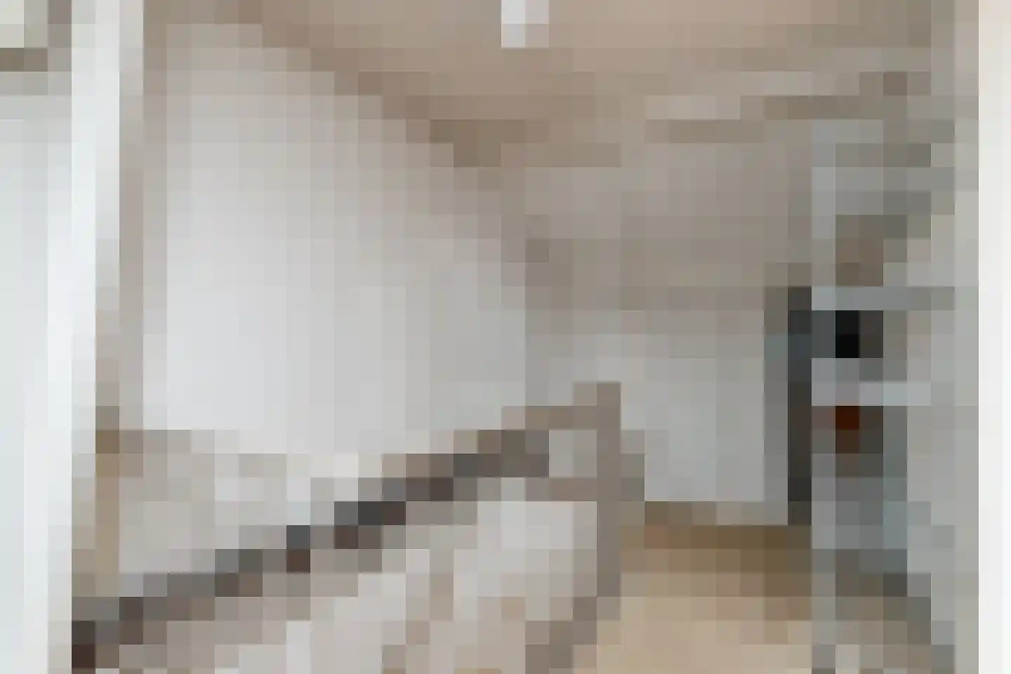 Beukenlaan 13 Nijkerk thumbnail 26