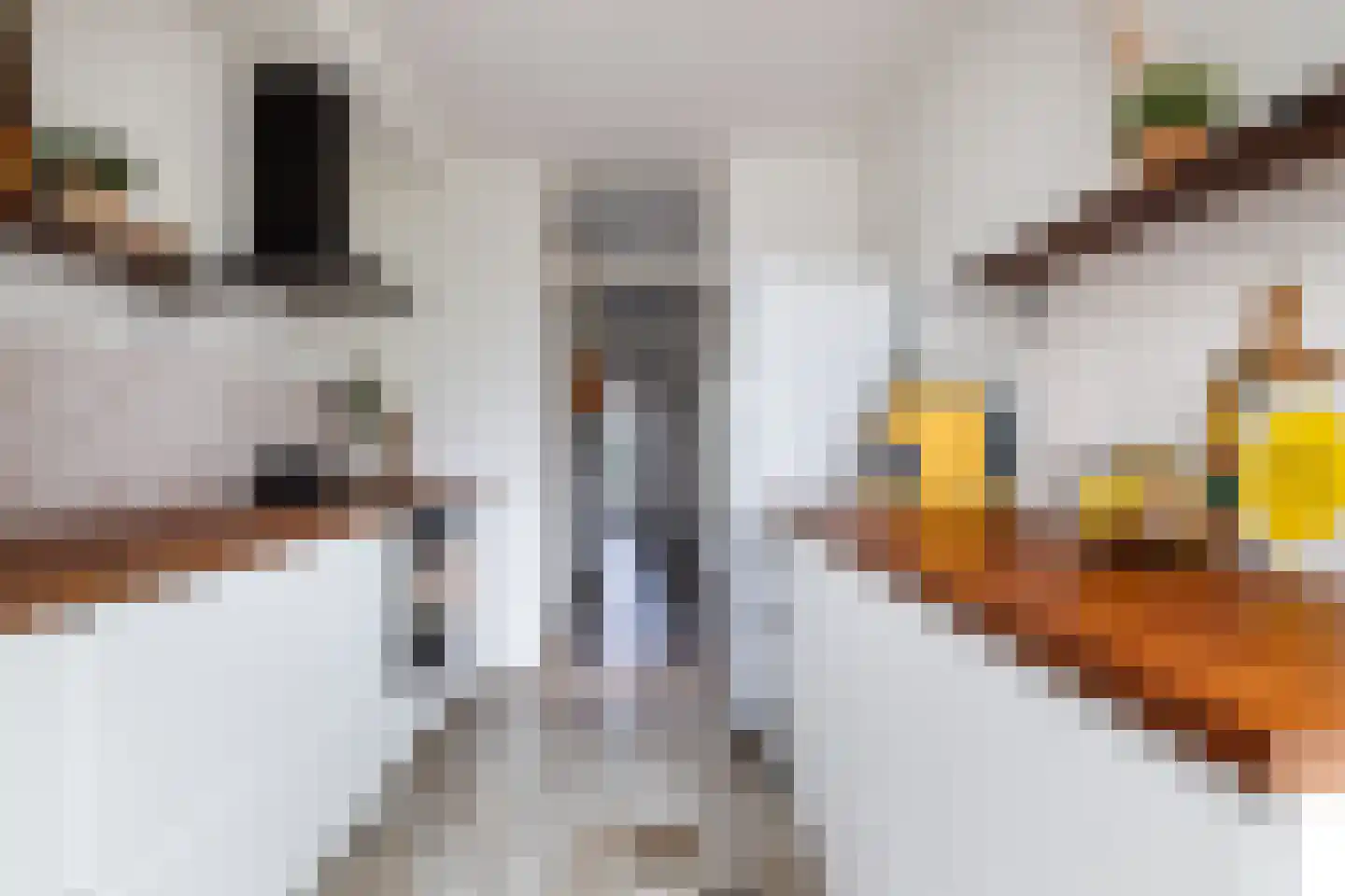 Beukenlaan 13 Nijkerk thumbnail 9