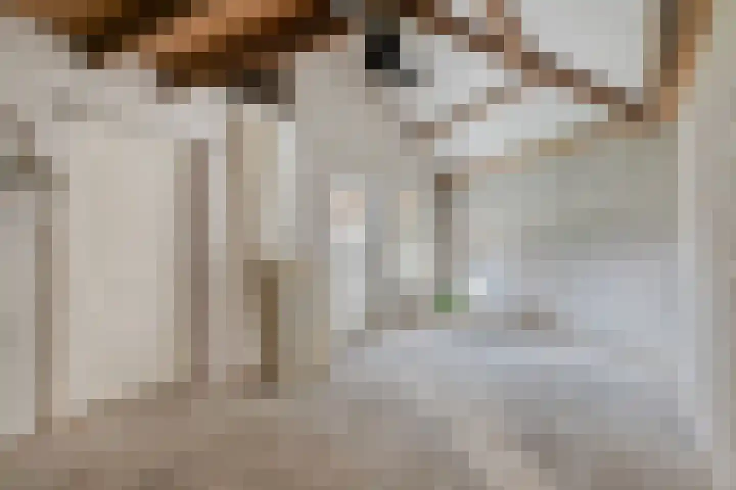 Beukenlaan 13 Reusel thumbnail 15