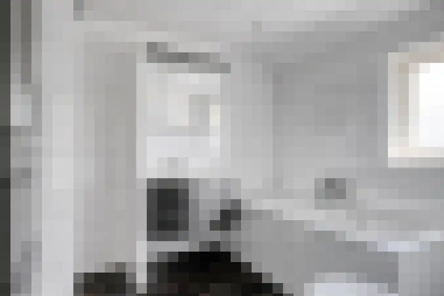 Beukenlaan 13 Reusel thumbnail 21