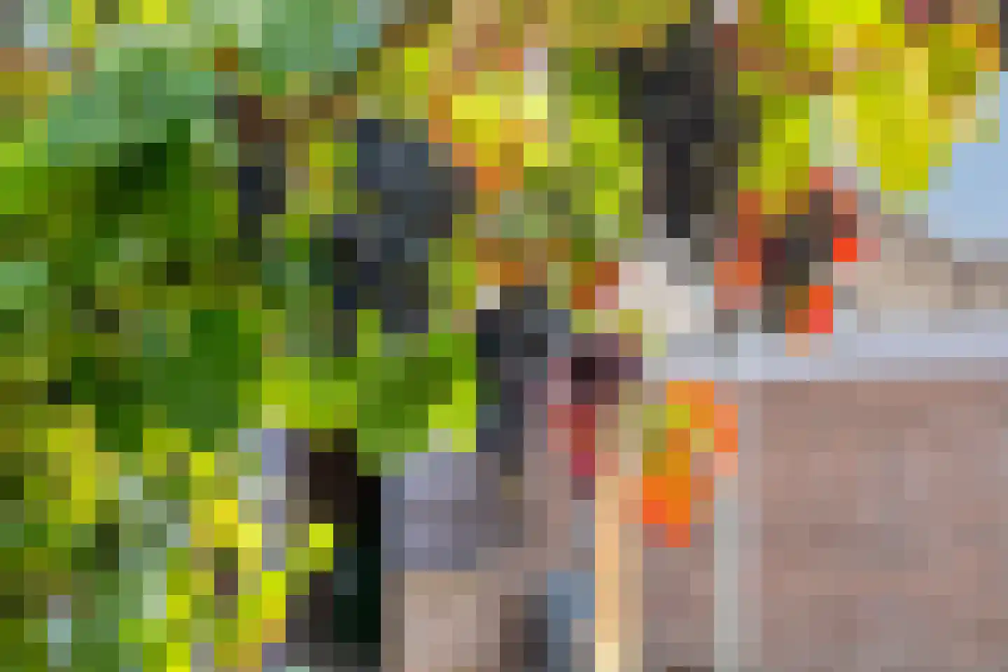 Beukenlaan 13 Reusel thumbnail 26