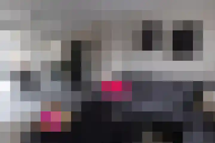 Beukenlaan 133 Grootebroek thumbnail 13