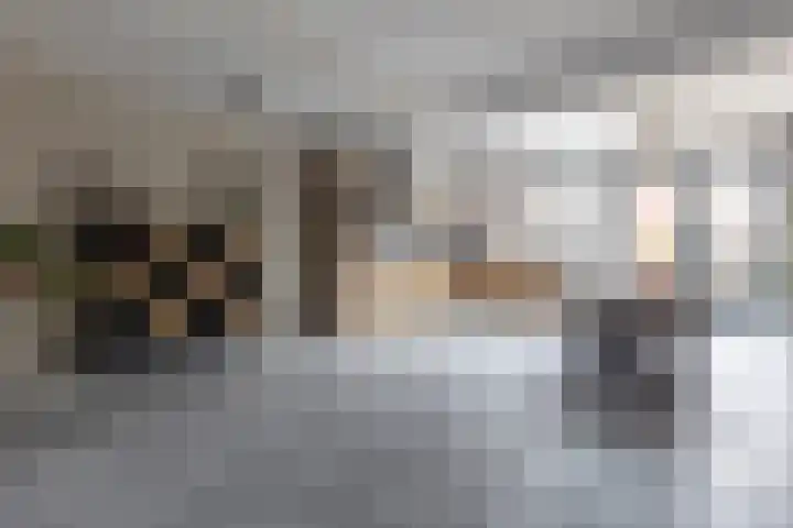 Beukenlaan 133 Grootebroek thumbnail 14