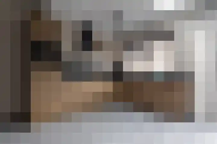 Beukenlaan 133 Grootebroek thumbnail 16