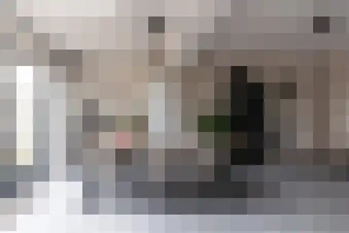 Beukenlaan 133 Grootebroek thumbnail 19