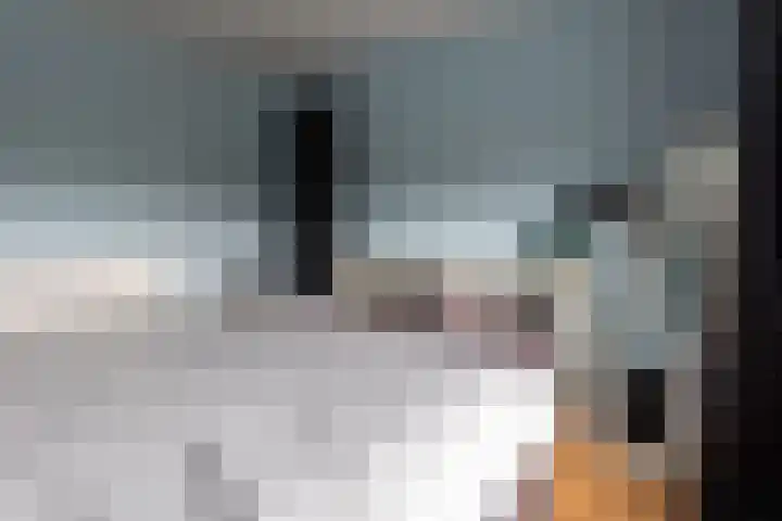 Beukenlaan 133 Grootebroek thumbnail 26