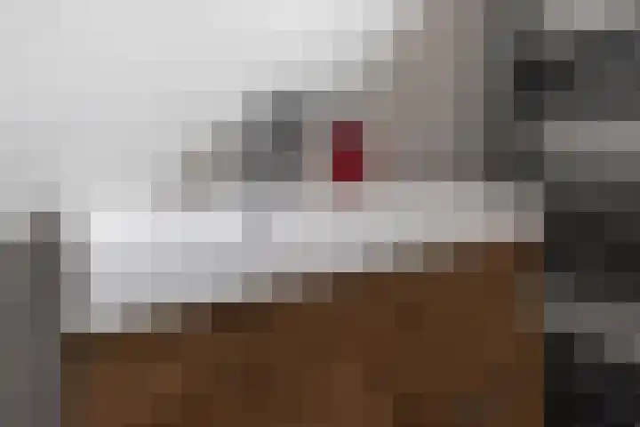 Beukenlaan 133 Grootebroek thumbnail 36