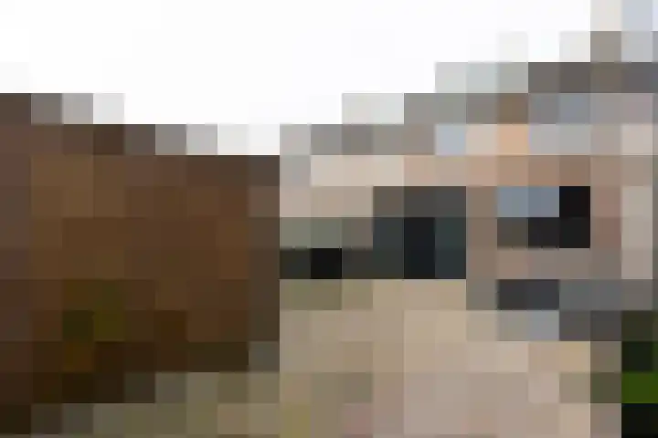 Beukenlaan 133 Grootebroek thumbnail 42