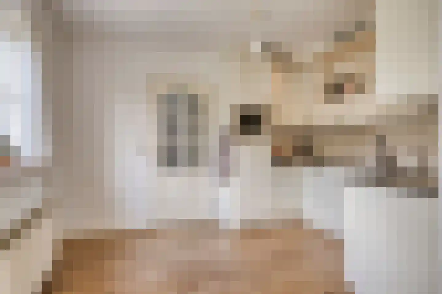Beukenlaan 14 Koewacht thumbnail 10