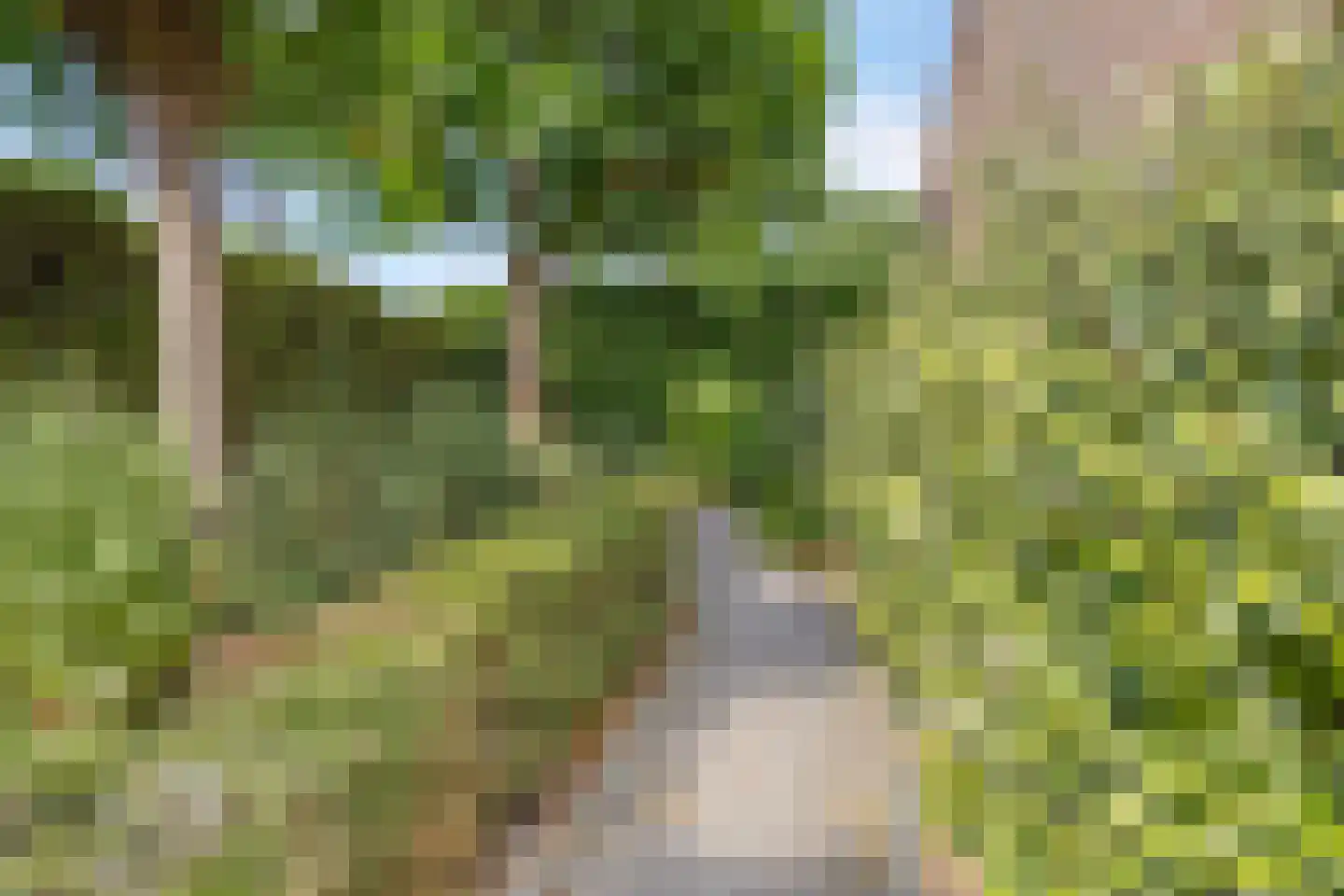 Beukenlaan 14 Koewacht thumbnail 22