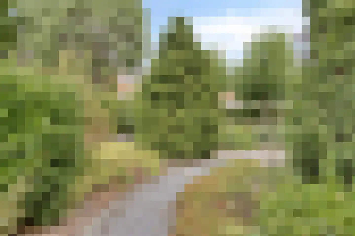Beukenlaan 14 Koewacht thumbnail 23