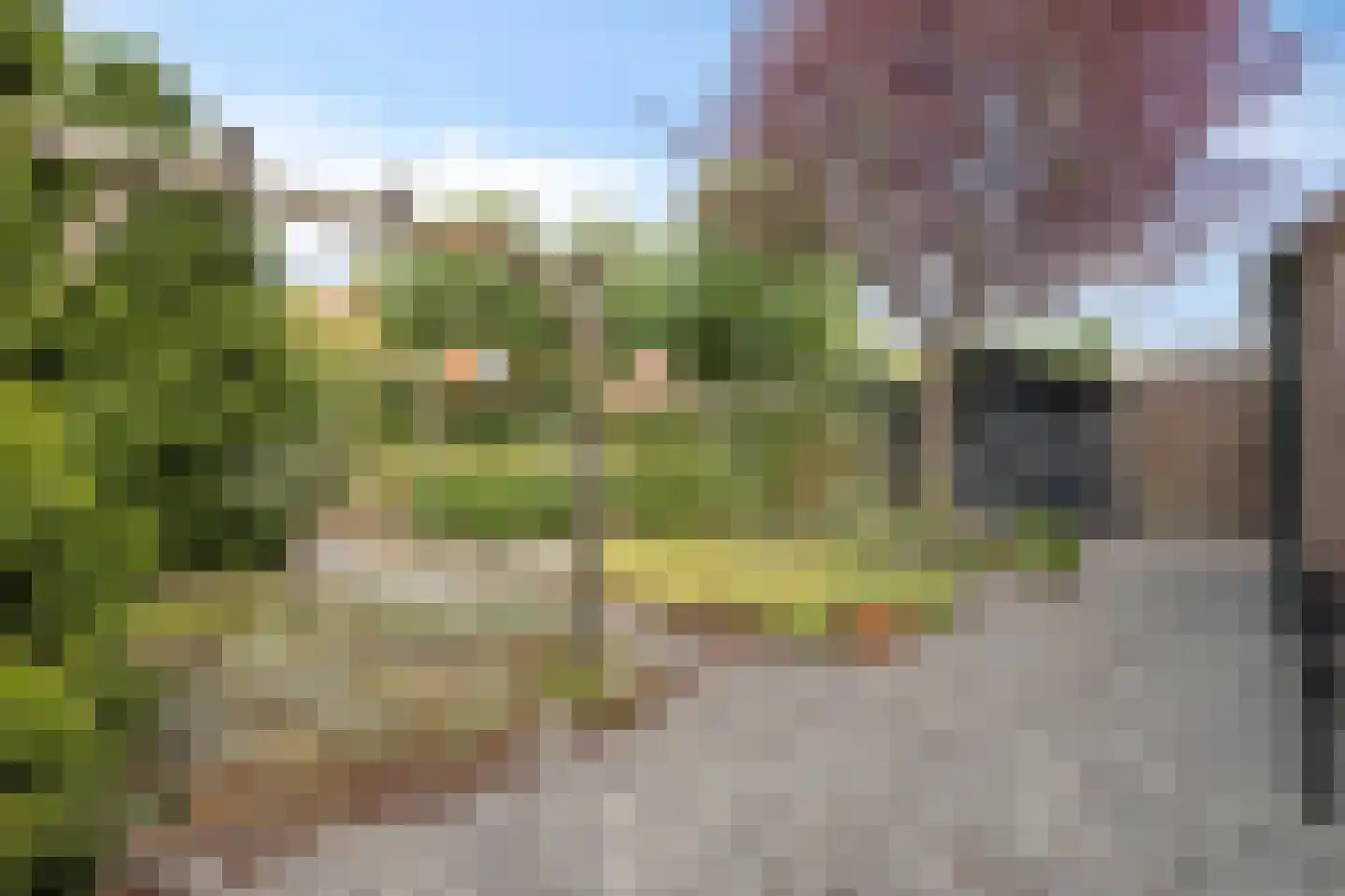 Beukenlaan 14 Koewacht thumbnail 24