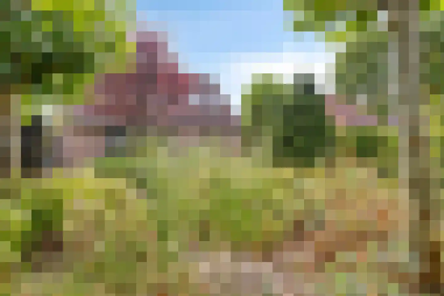 Beukenlaan 14 Koewacht thumbnail 25