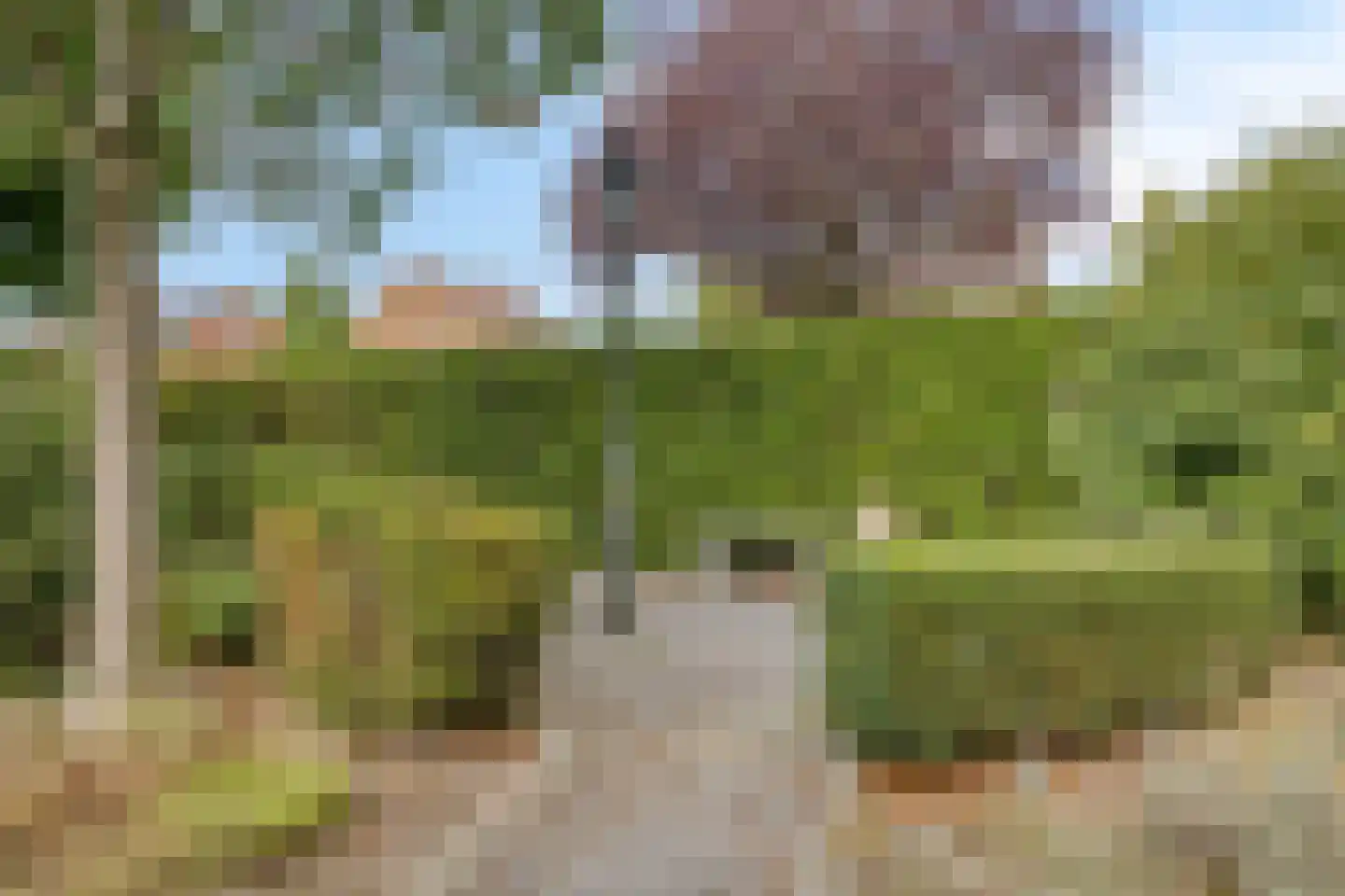 Beukenlaan 14 Koewacht thumbnail 26