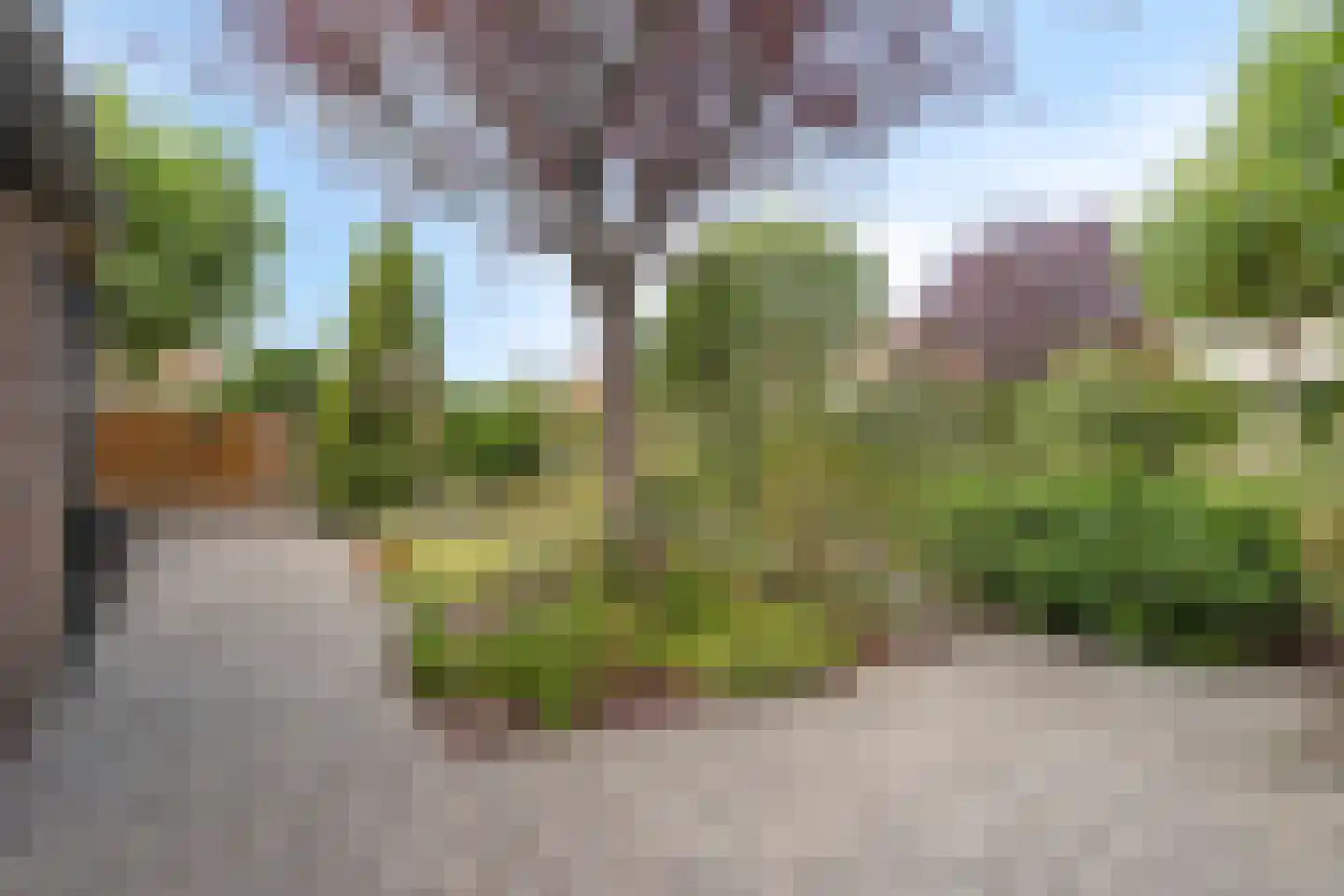 Beukenlaan 14 Koewacht thumbnail 5