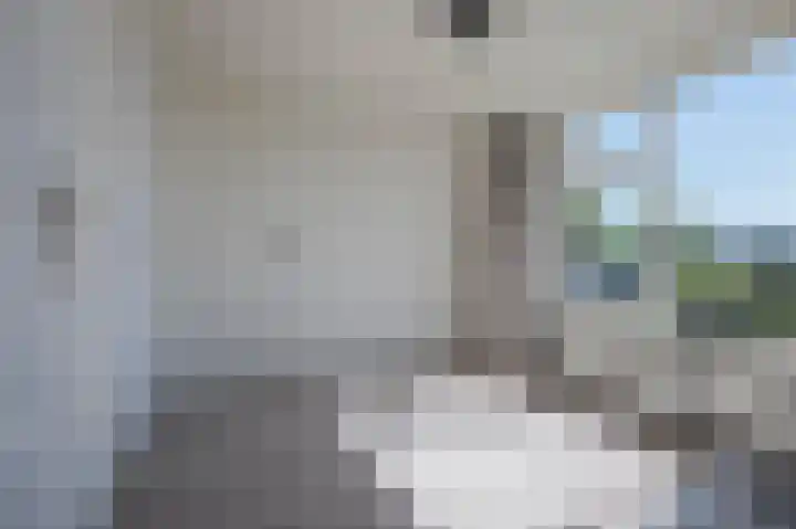 Beukenlaan 14 Nieuw-Buinen thumbnail 17