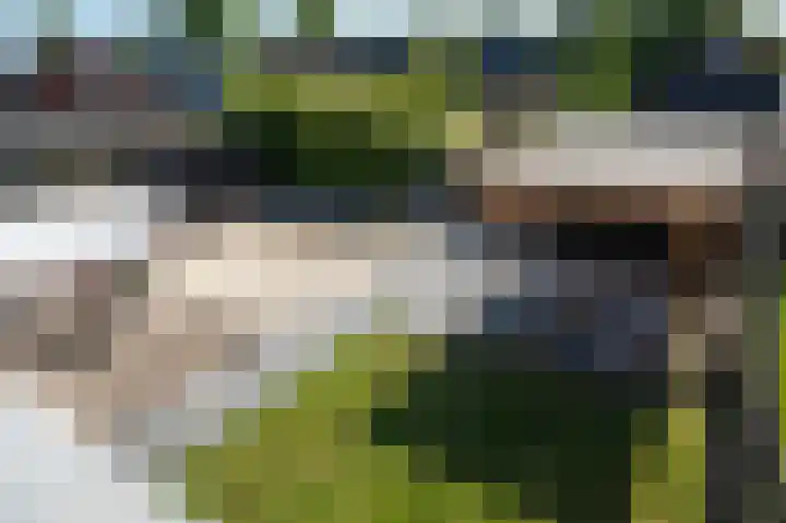 Beukenlaan 14 Nieuw-Buinen thumbnail 21