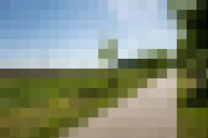 Beukenlaan 14 Nieuw-Buinen foto 3