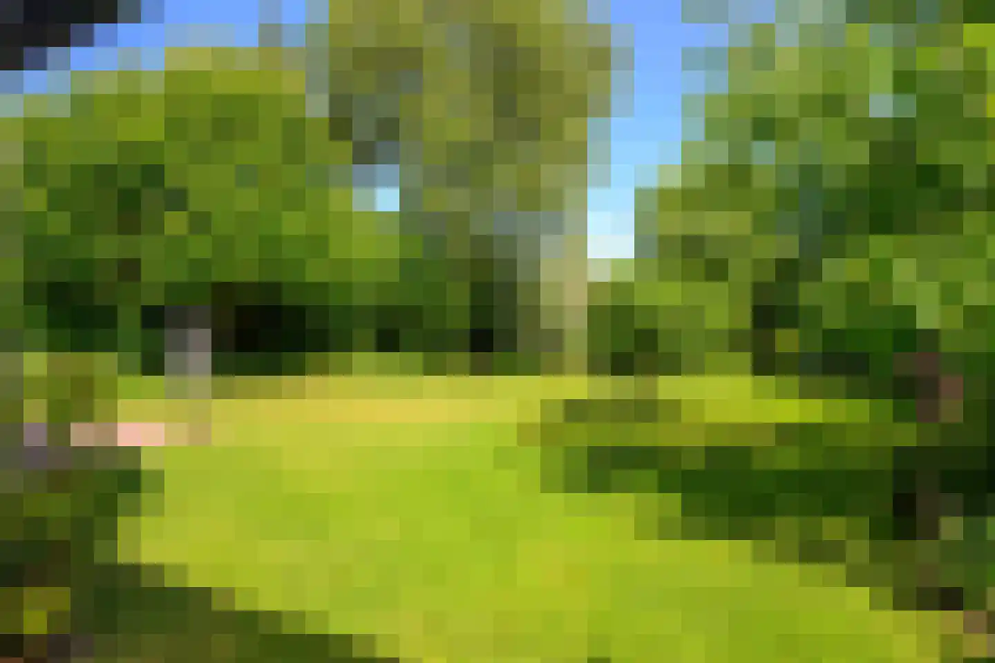 Beukenlaan 14 Schagen thumbnail 14