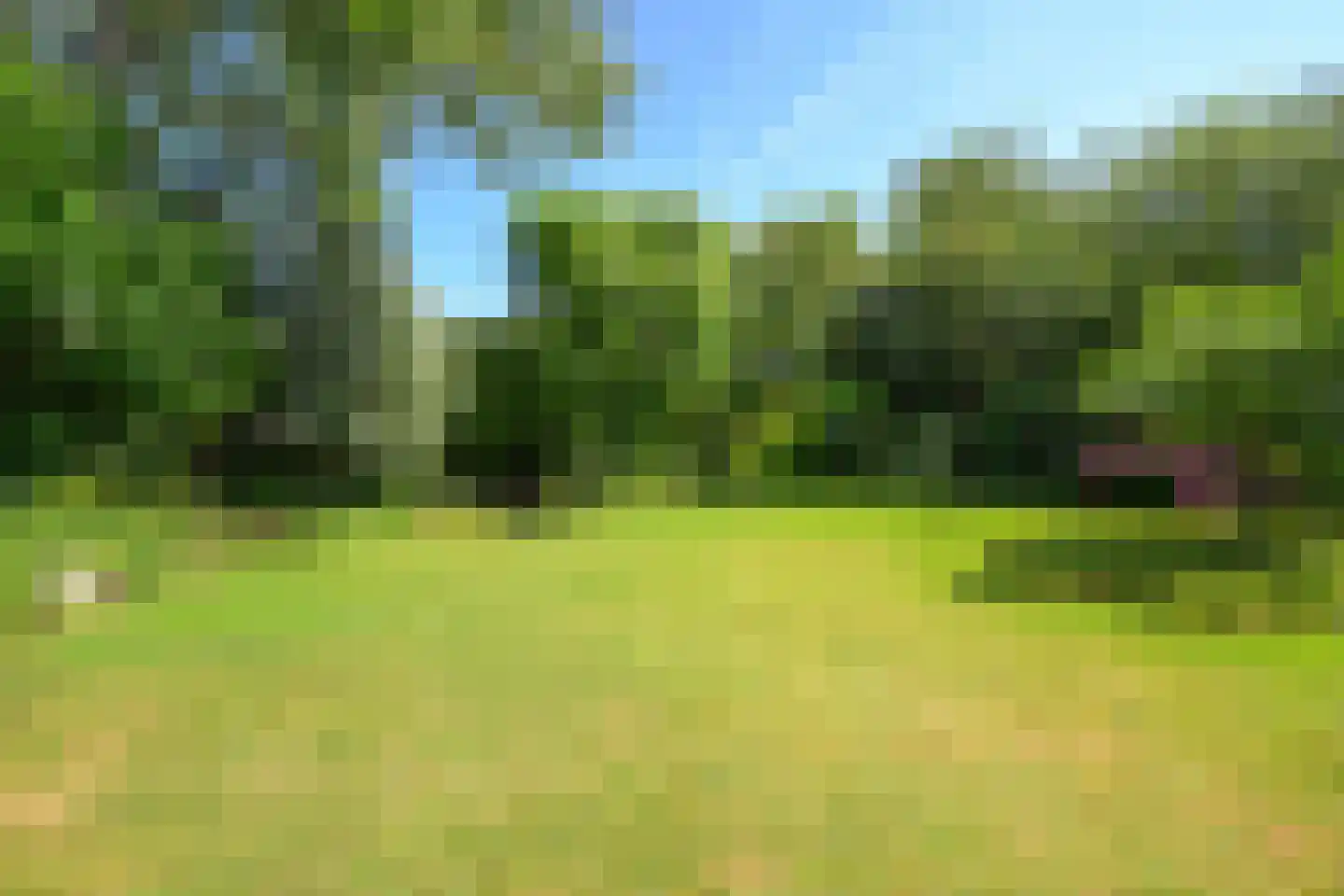 Beukenlaan 14 Schagen thumbnail 15