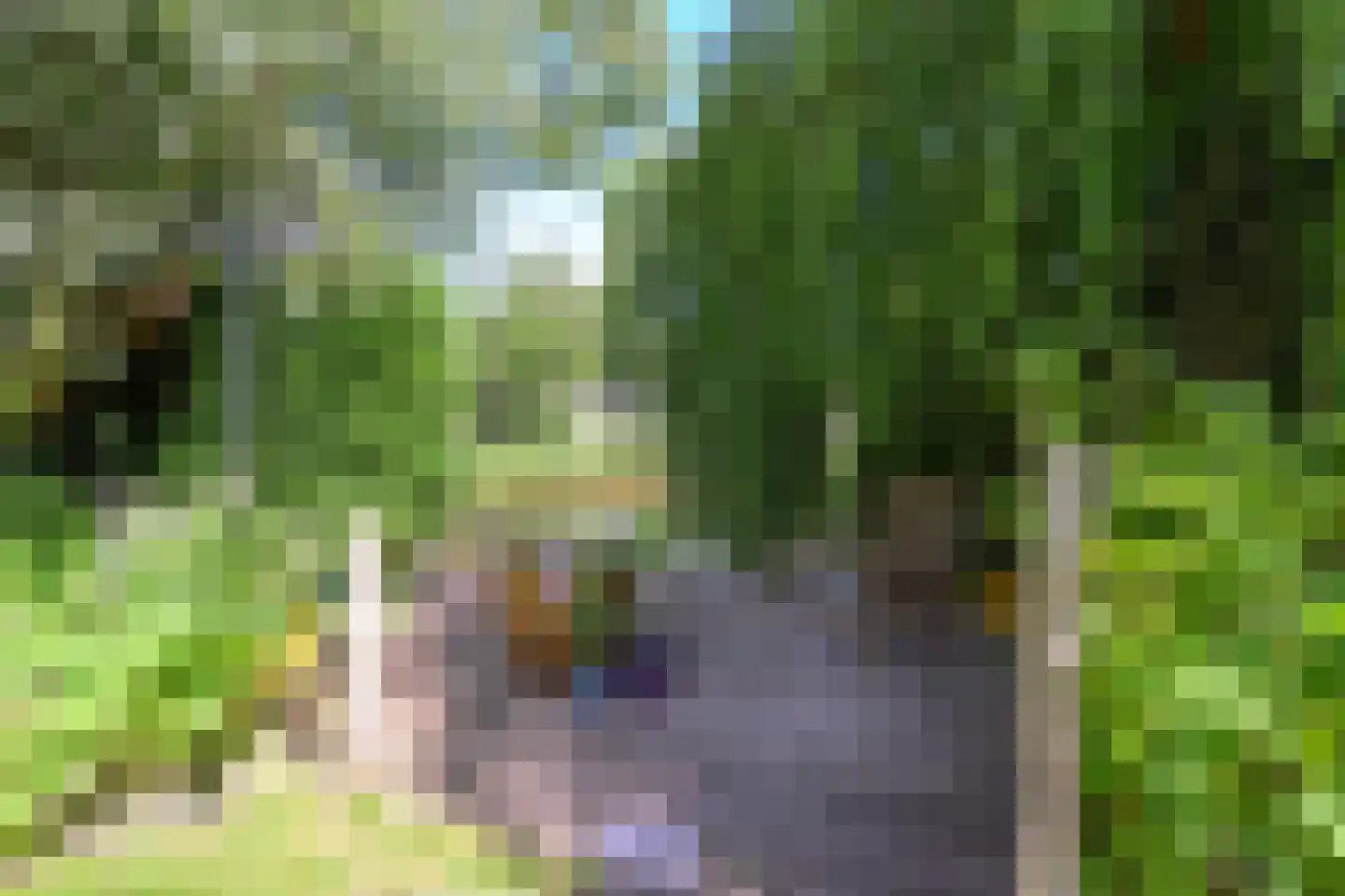 Beukenlaan 14 Schagen thumbnail 16