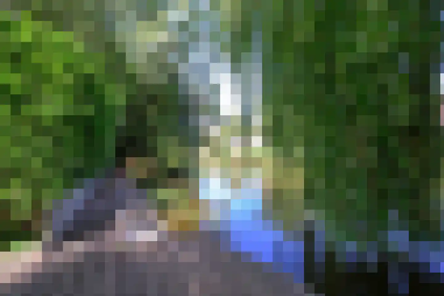Beukenlaan 14 Schagen thumbnail 17