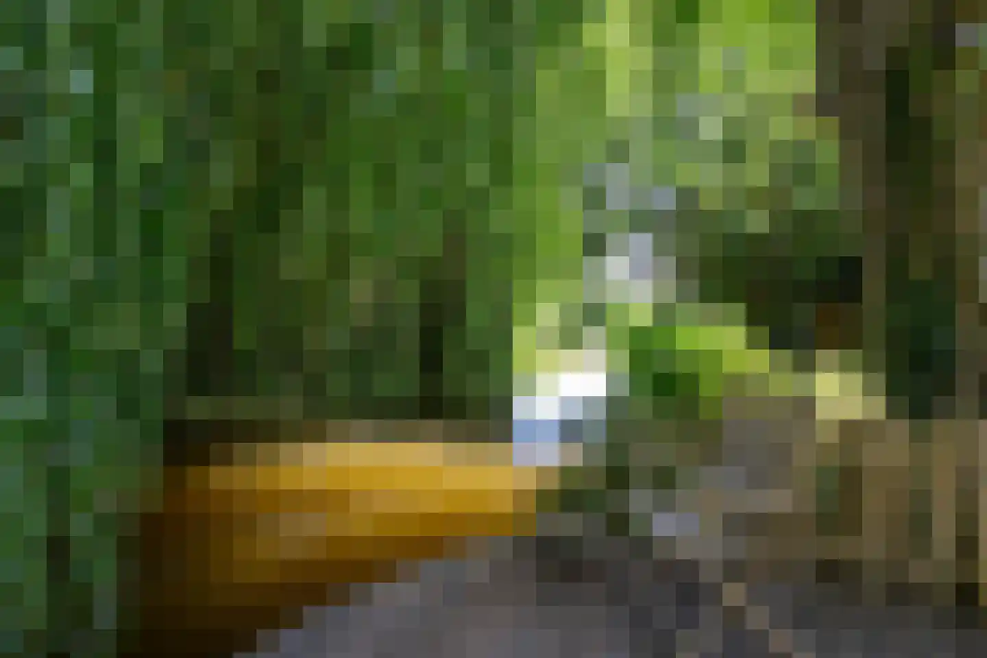 Beukenlaan 14 Schagen thumbnail 18
