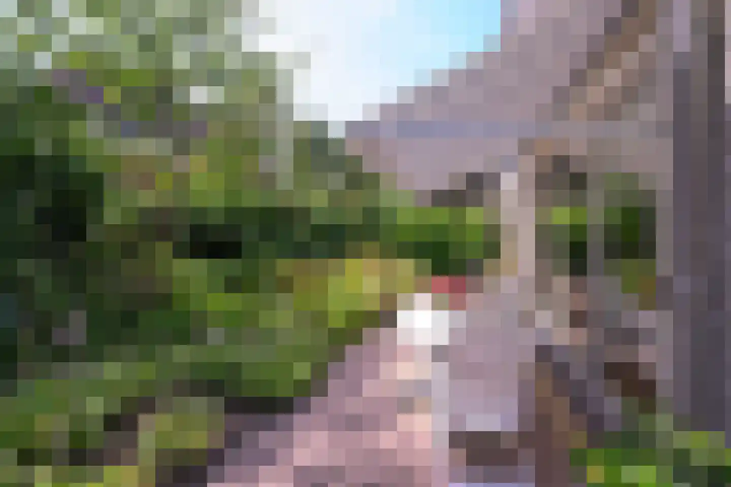 Beukenlaan 14 Schagen thumbnail 21