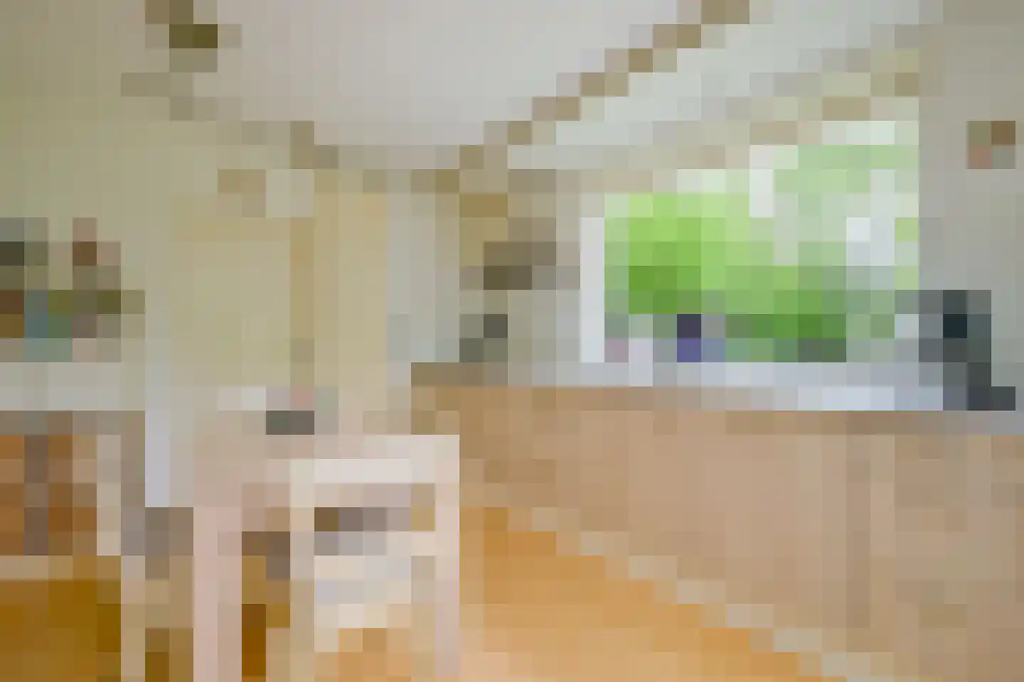 Beukenlaan 14 Schagen thumbnail 22