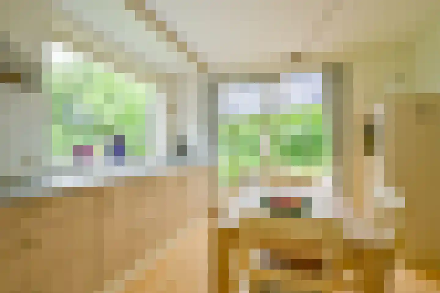Beukenlaan 14 Schagen thumbnail 25