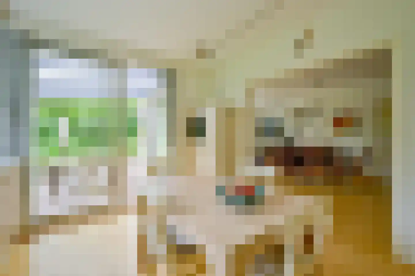 Beukenlaan 14 Schagen thumbnail 26