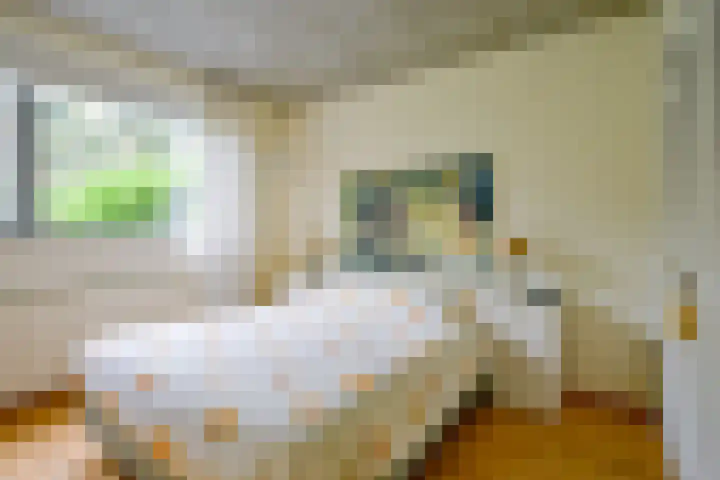 Beukenlaan 14 Schagen thumbnail 28