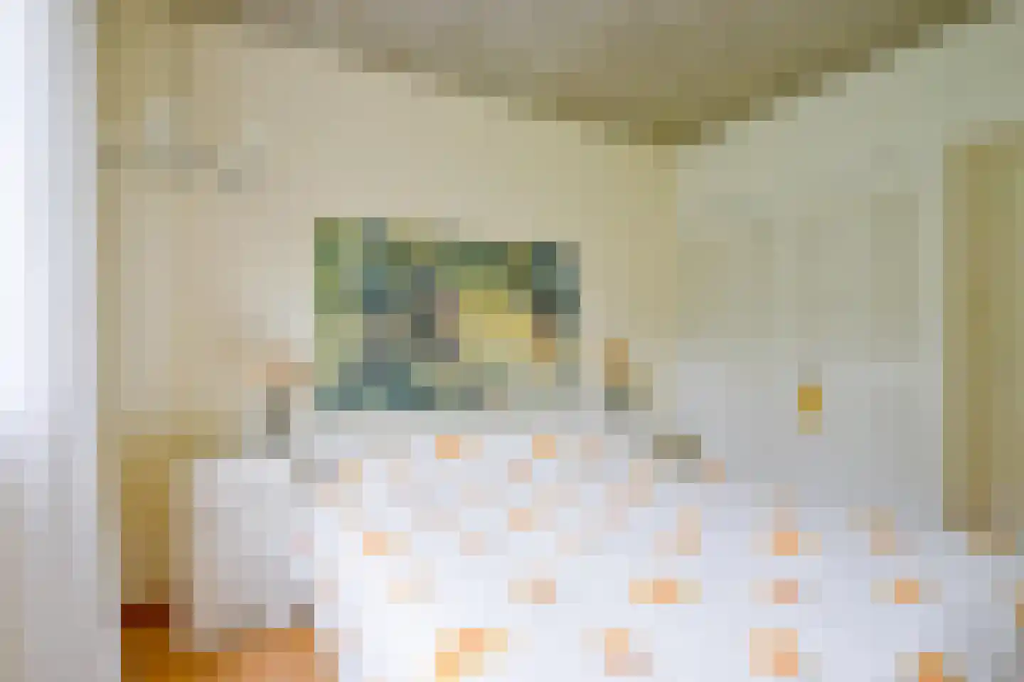 Beukenlaan 14 Schagen thumbnail 29