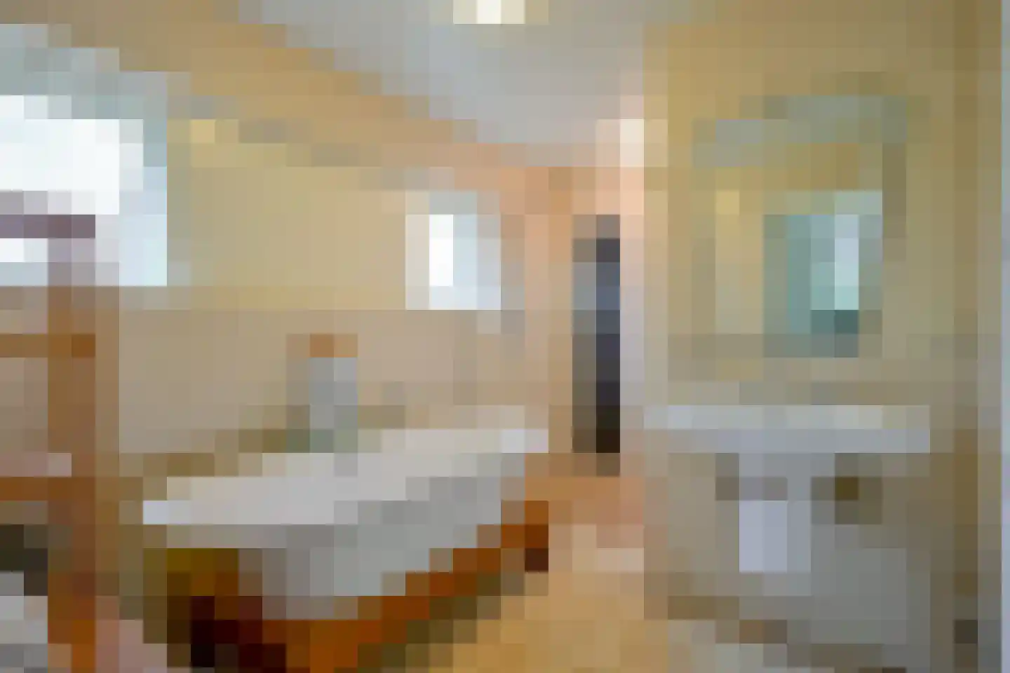 Beukenlaan 14 Schagen thumbnail 31
