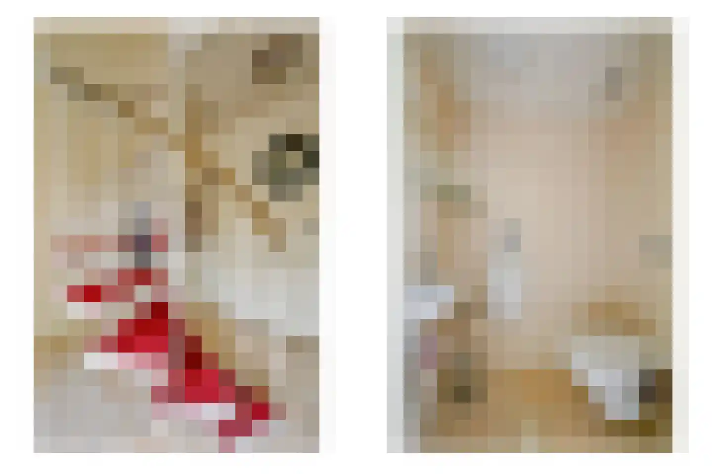 Beukenlaan 14 Schagen thumbnail 33