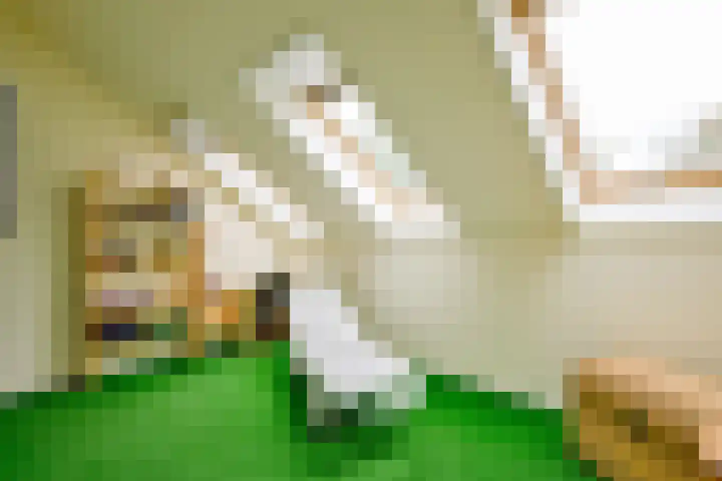 Beukenlaan 14 Schagen thumbnail 37