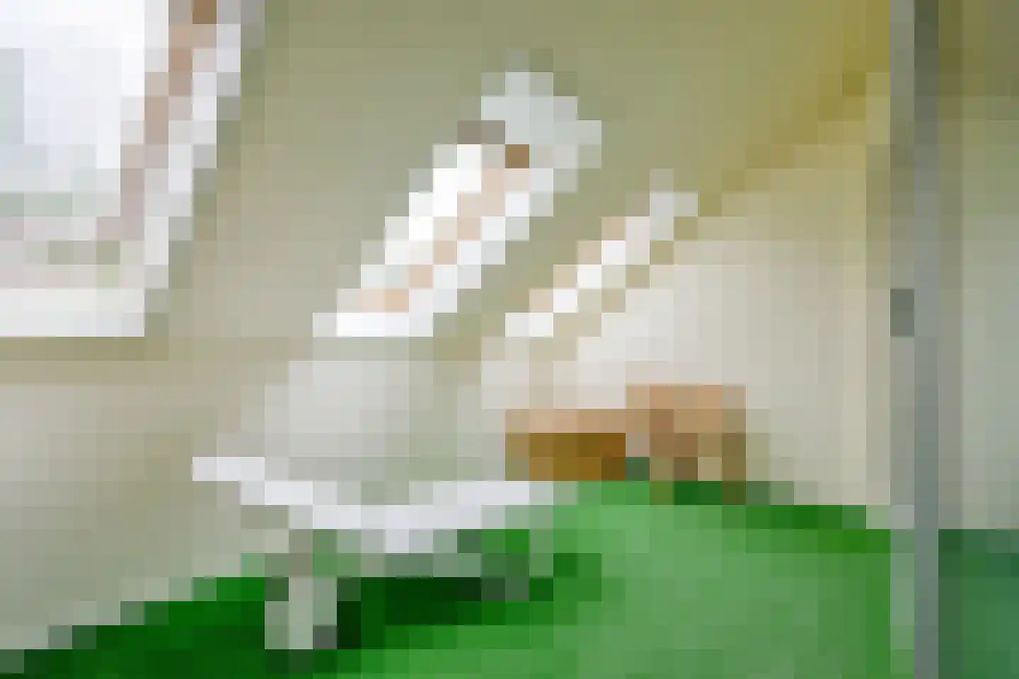 Beukenlaan 14 Schagen thumbnail 38