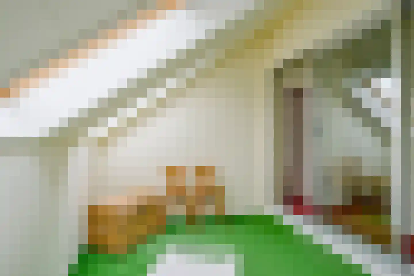 Beukenlaan 14 Schagen thumbnail 39