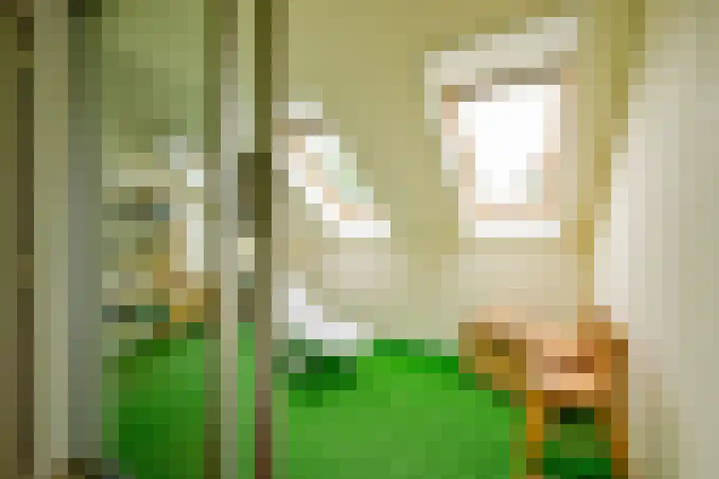 Beukenlaan 14 Schagen thumbnail 40