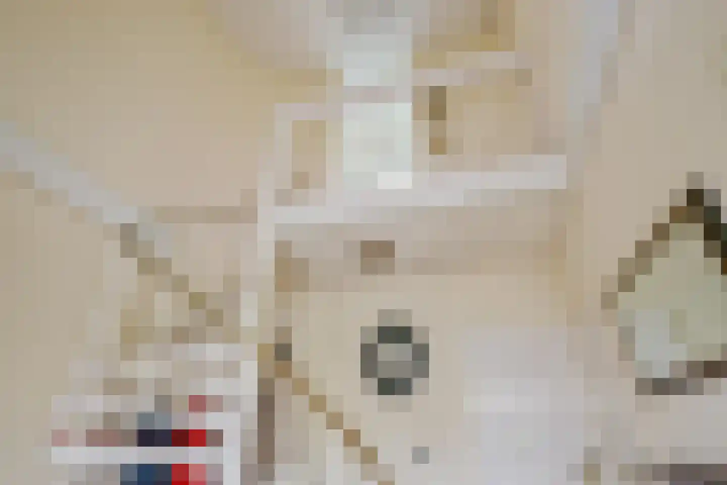 Beukenlaan 14 Schagen thumbnail 44