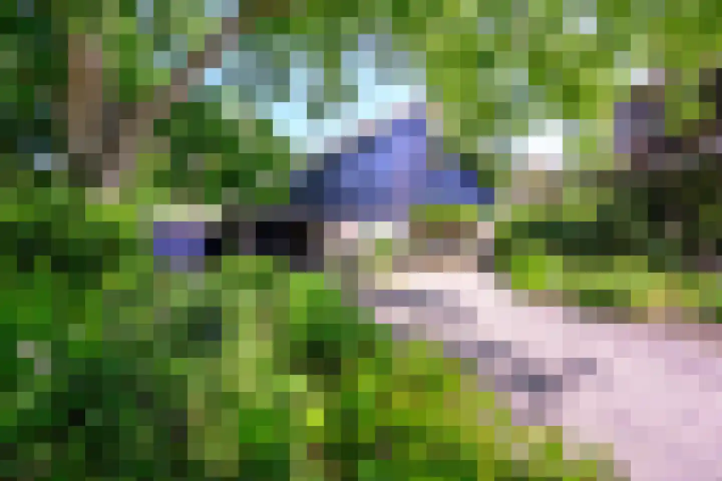 Beukenlaan 14 Schagen thumbnail 46