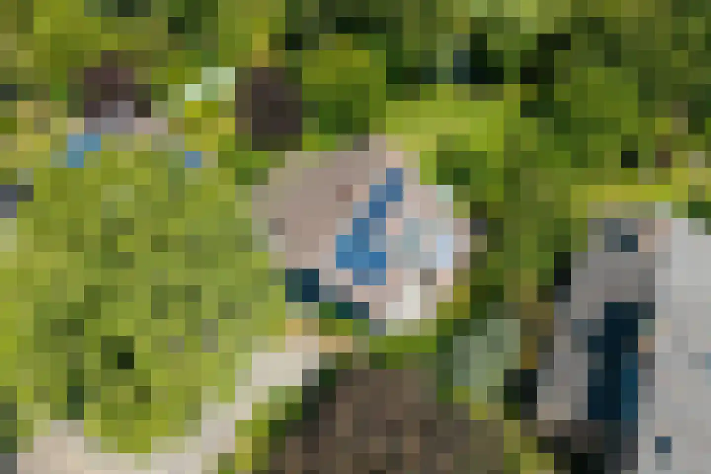 Beukenlaan 14 Schagen thumbnail 47