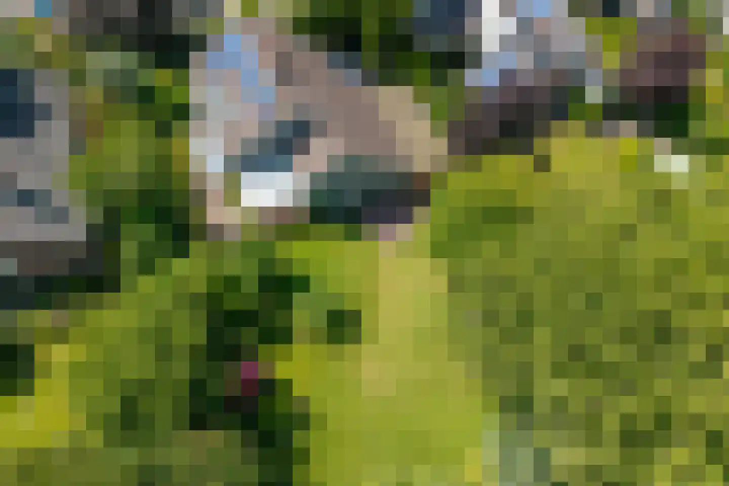 Beukenlaan 14 Schagen thumbnail 48