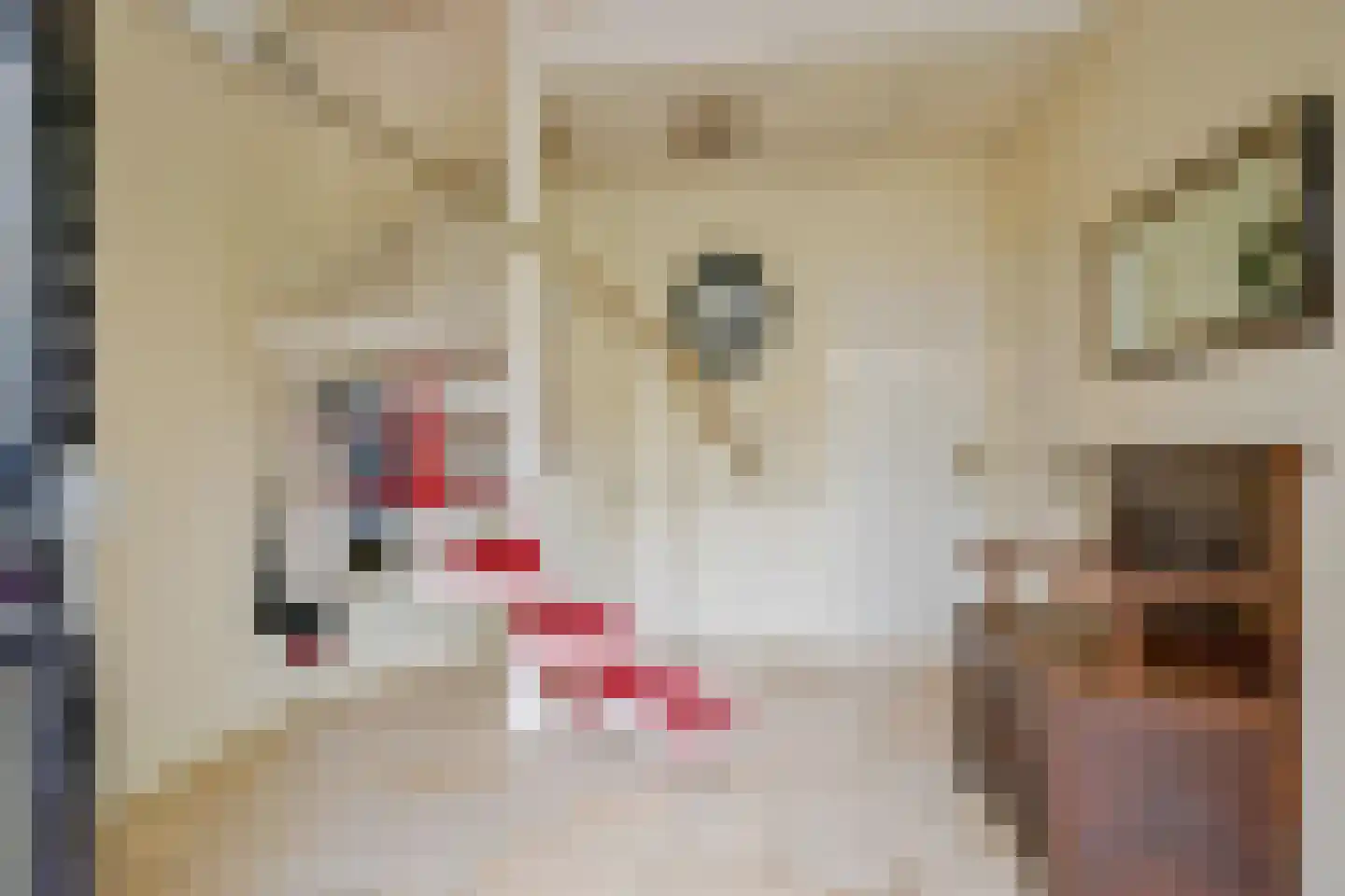 Beukenlaan 14 Schagen thumbnail 6